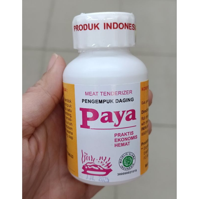 

PAYA Pengempuk daging 70gr meat tenderizer