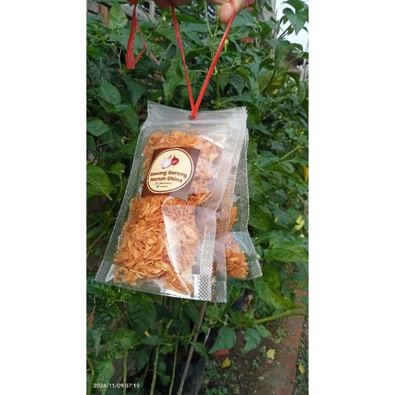 

bawang goreng paket usaha
