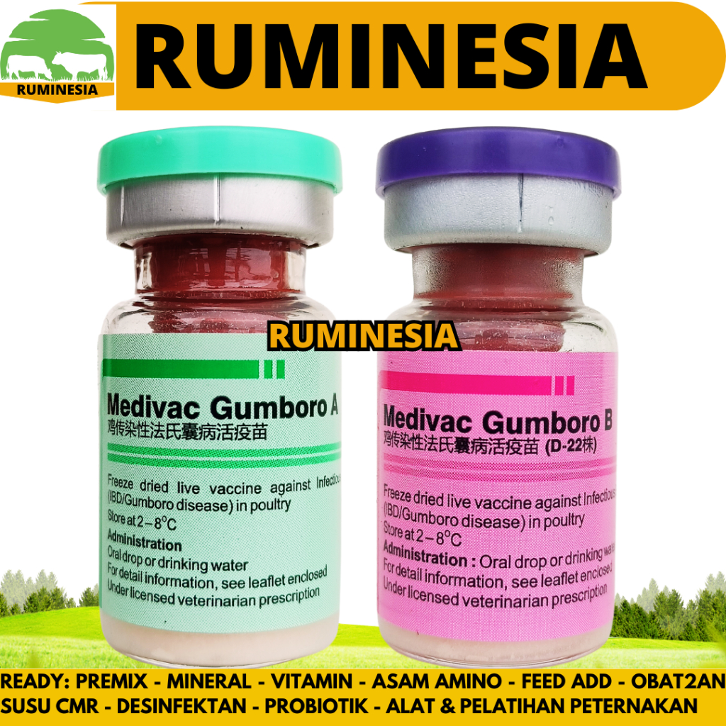 VAKSIN MEDIVAC GUMBORO A & B 100 DOSIS + PELARUT - Vaksin Gumboro IBD Aratan Ayam Burung Unggas
