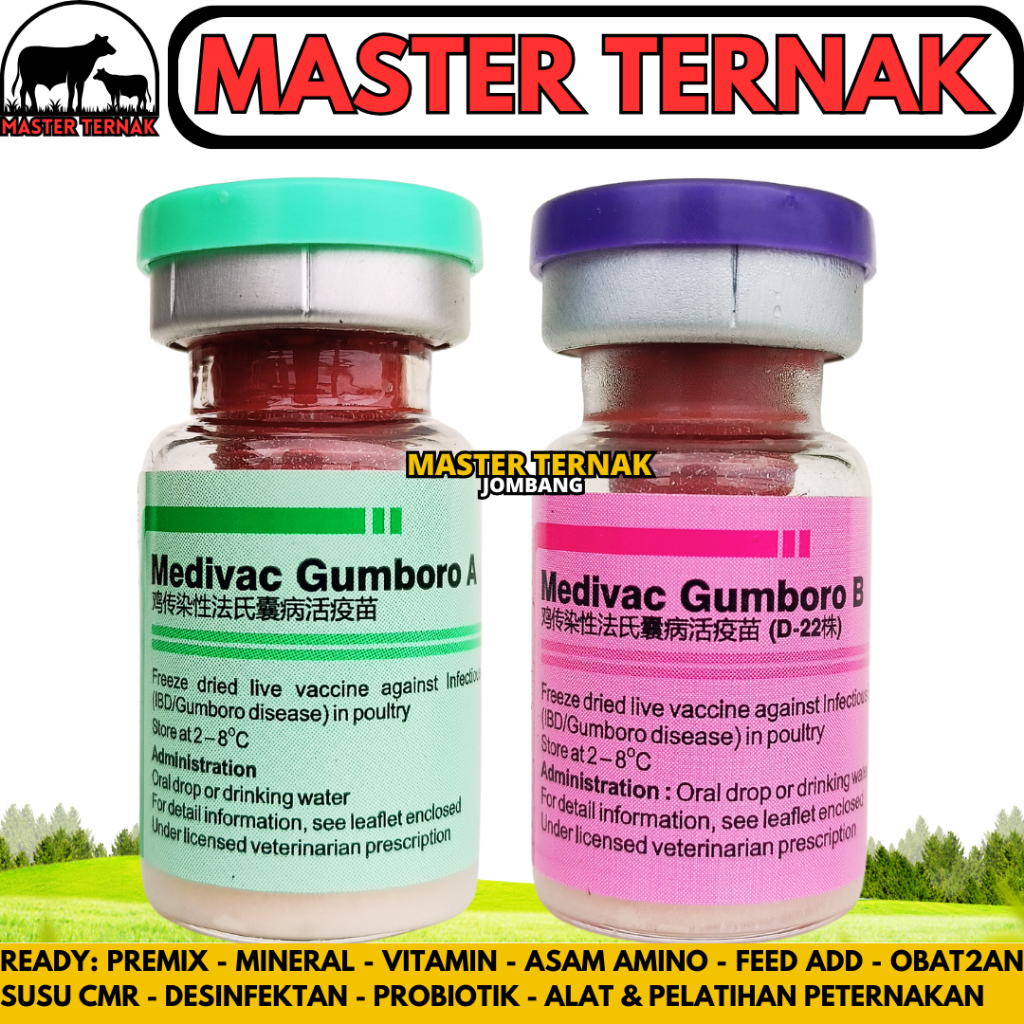 VAKSIN MEDIVAC GUMBORO A & B 100 DOSIS + PELARUT - Vaksin Gumboro IBD Aratan Ayam Burung Unggas