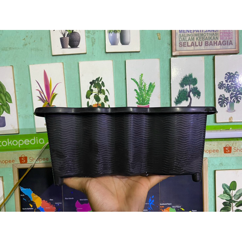 pot panjang sgp A 0117 02 panjang 30 cm