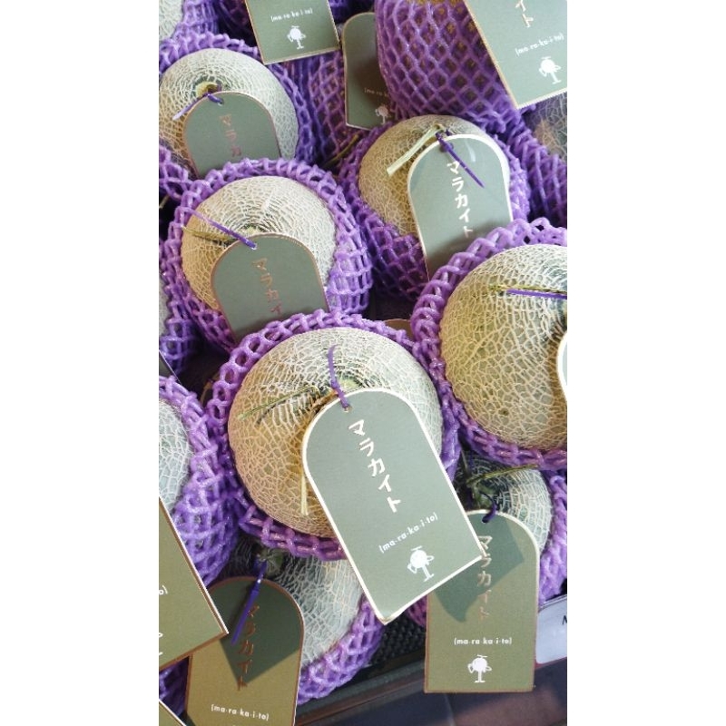 

Melon Marakaito Jepang Daging Hijau