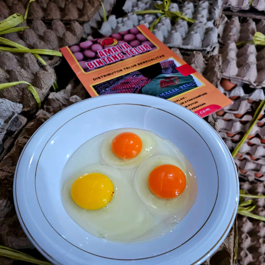 

HA Telur Omega 3 Segar Isi 30 Butir Garansi
