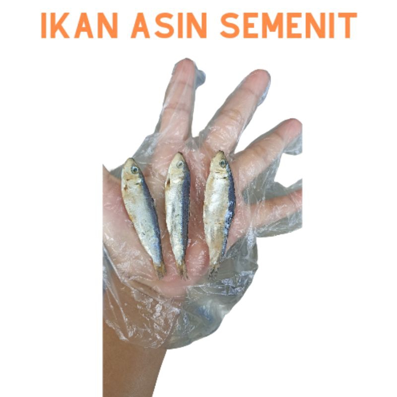 

Ikan Asin Semenit / Layang Kecing / Benggol Kecil / Klotok Kecik