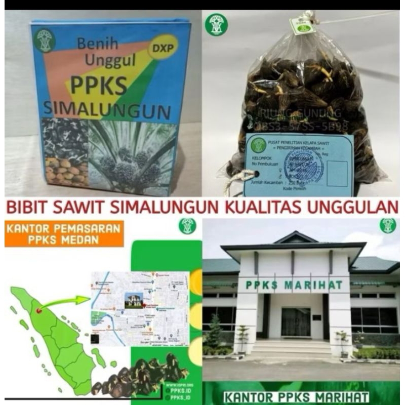 100 butir PPKS SIMALUNGUN ORIGINAL SERTIFIKAT