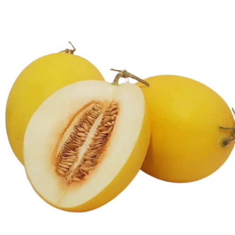 

Melon golden berat 1kg