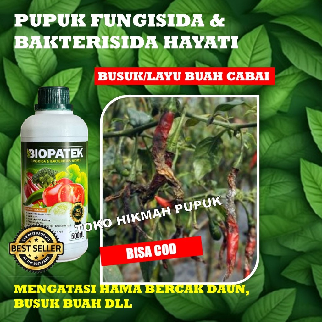 Pupuk BIOPATEK Fungisida Hayati Mengatasi Layu Fusarium pada Cabe, Obat Layu Fusarium Pada Cabe, Oba
