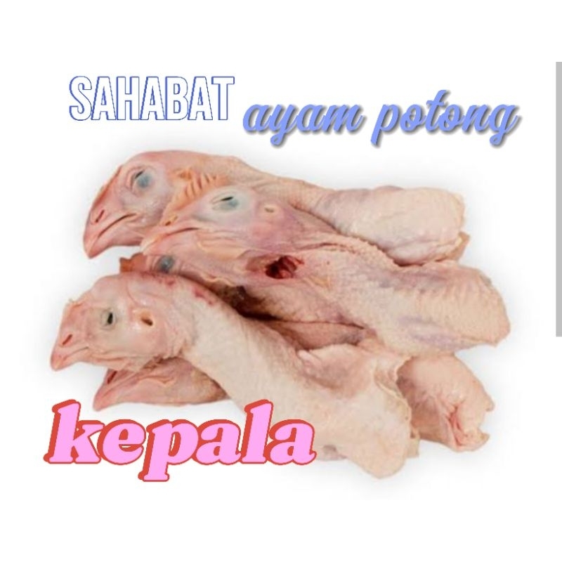

kepala ayam