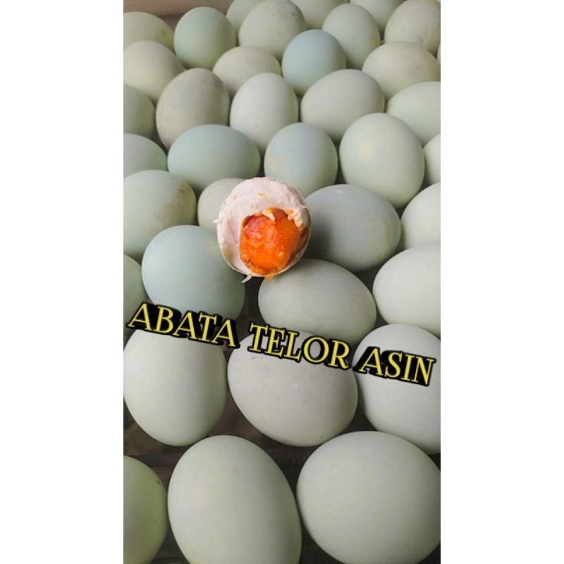 

TELUR ASIN MASIR DAN BERMINYAK ISI 6 BUTIR