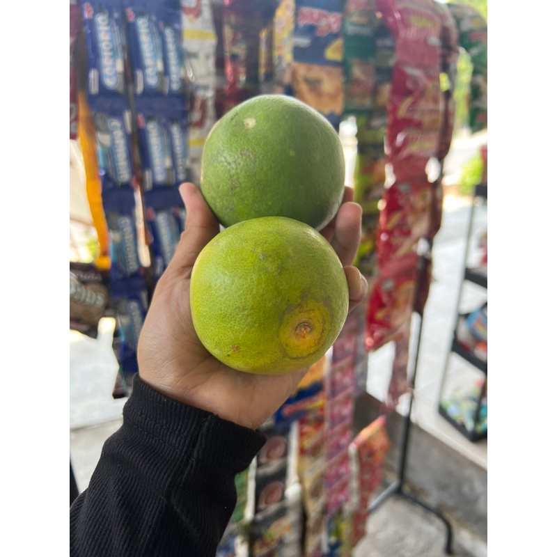 

jeruk baby javaa manis kaya akan vitamin c