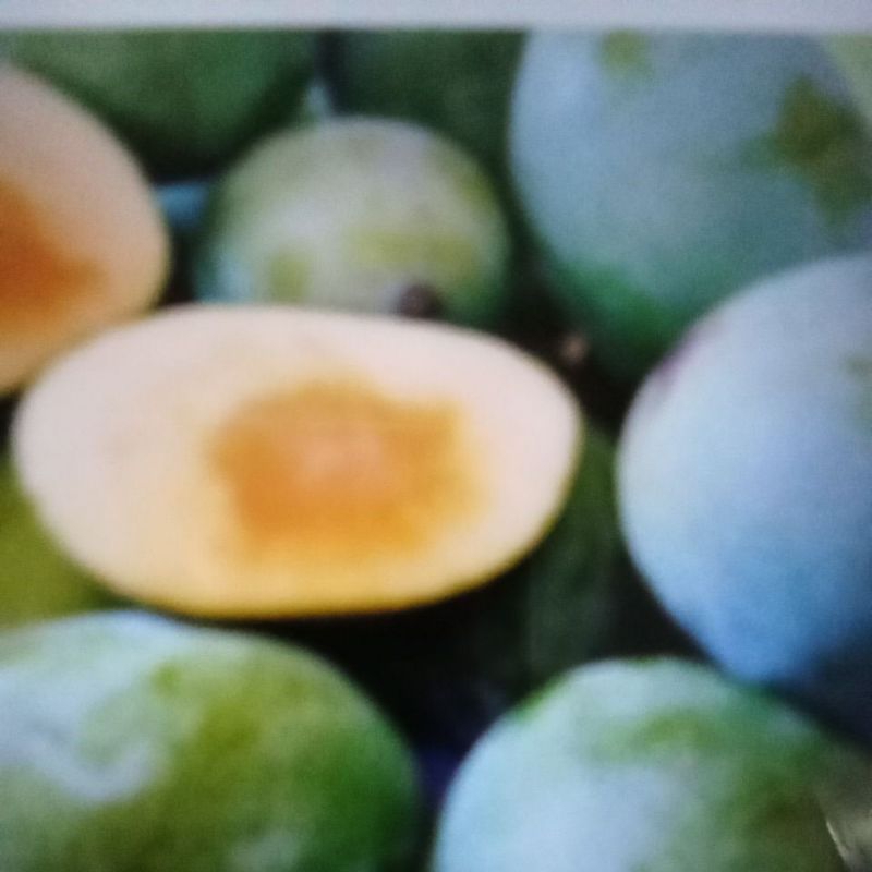 

manggamadumanis