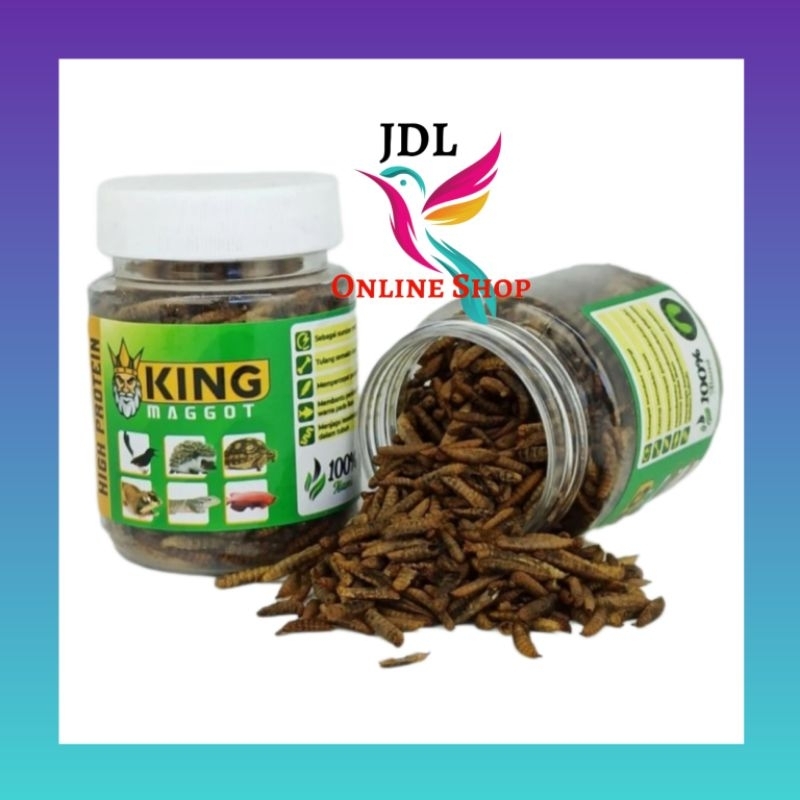 KING MAGGOT MAGOT KERING PAKAN BURUNG IKAN ARWANA CHANNA OSKAR KOI  DLL