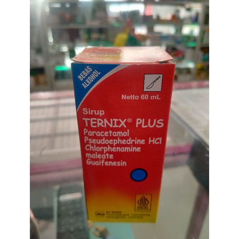 Ternix Plus Sirup