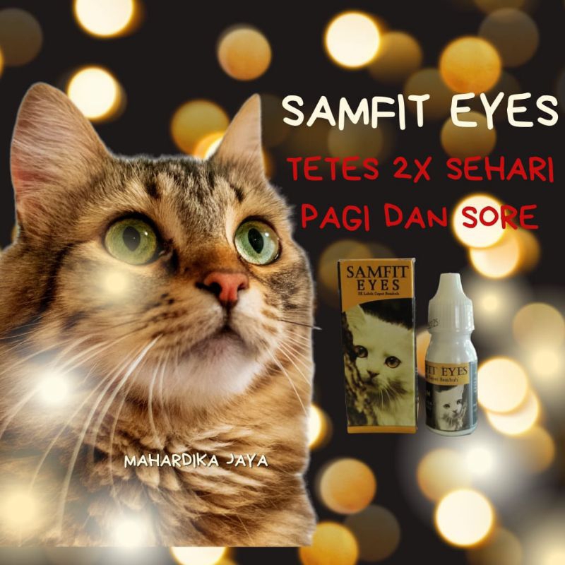 Livvicstore Obat Mata Kucing Belekan Berair Bengkak Infeksi Berselaput Menonjol Bernanah Kitten Dan