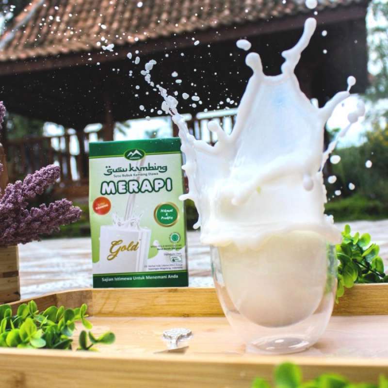 

SUSU KAMBING | Susu Kambing Merapi | Susu Kambing Gold | Sajian Nikmat