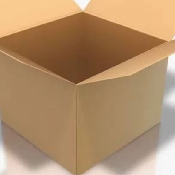 

EXTRA PACKING KARDUS DAN BUBBLEWRAP