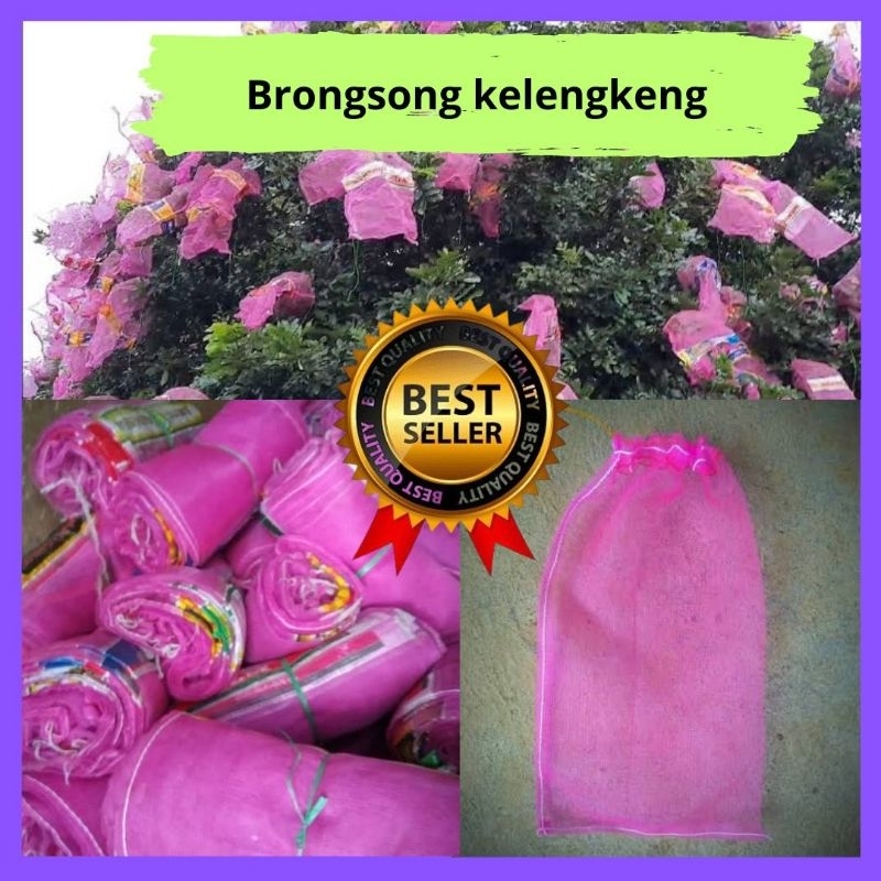 

JAMIN ASLI.! Isi 10 Pembungkus Buah Lengkeng
