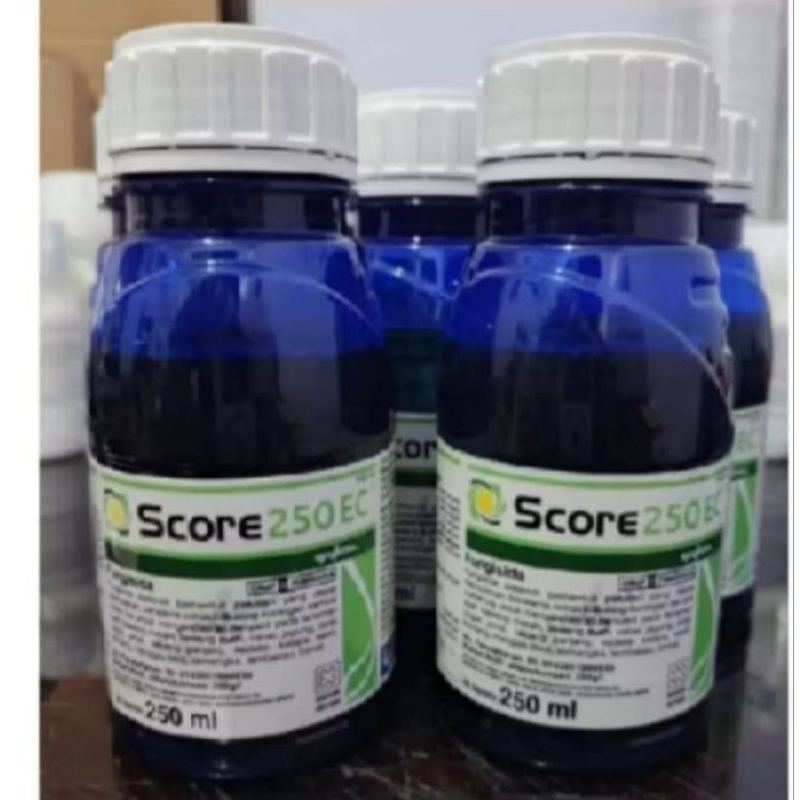 Score 250ml