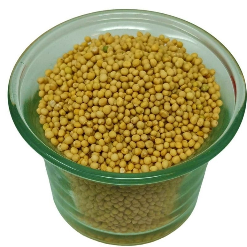 

Yellow Mustard Seed / Biji Sawi Kuning