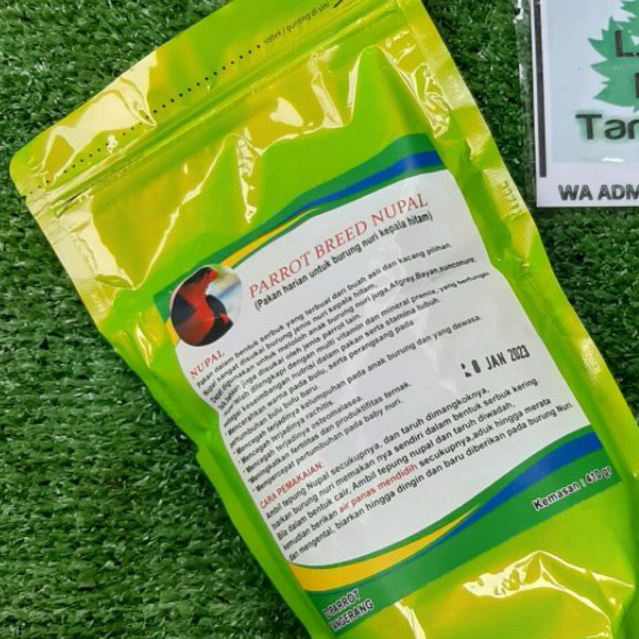 PB NUPAL PARROT BREED PAKAN HARIAN BURUNG JENIS NURI PALTEM NURI AMBON LORIKEET