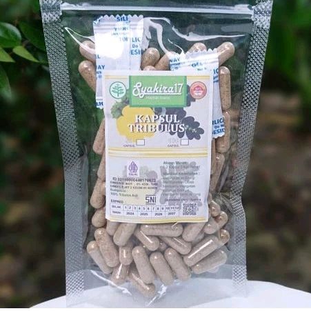 

KAPSUL HERBAL ASLI DAUN TRIBULUS KEMASAN POUCH ISI 100