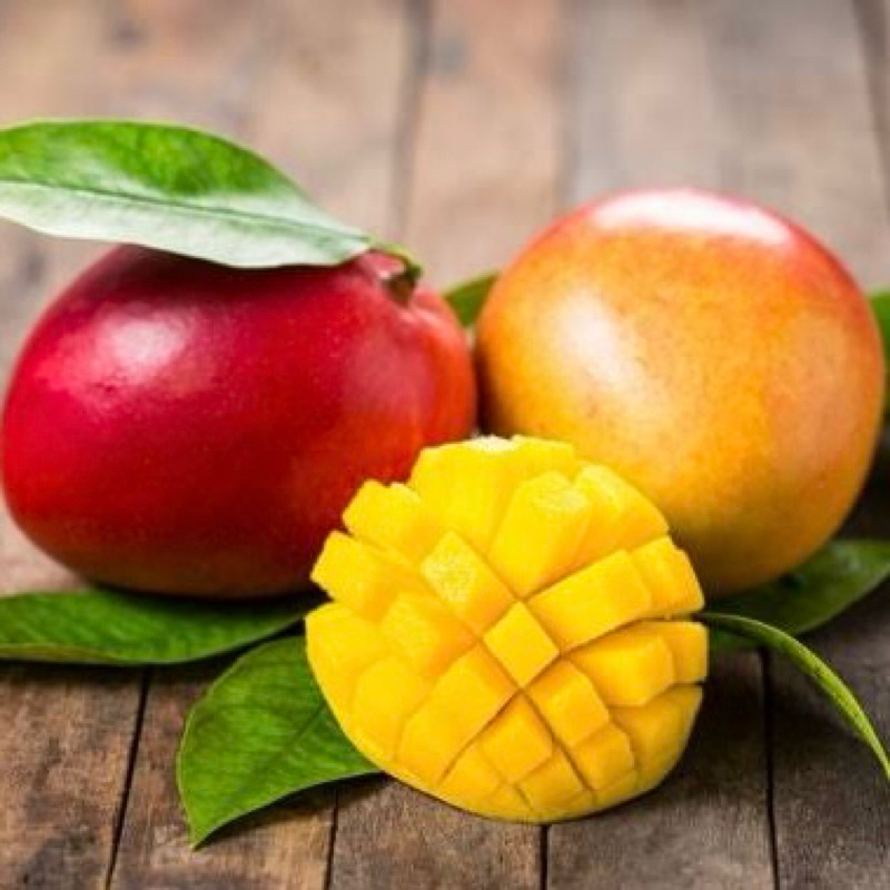 

Jamu herbal nusantara Mangga 1.5L solo