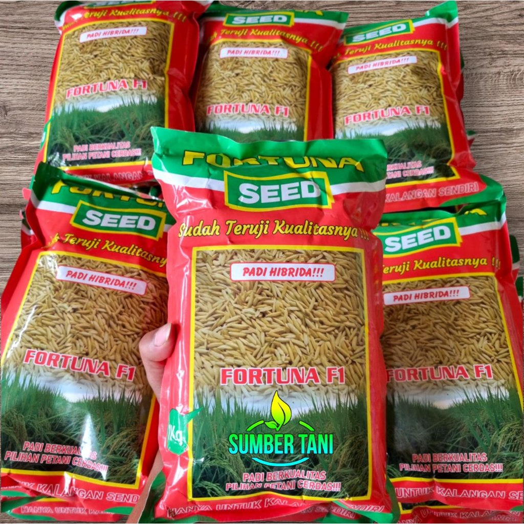 

Benih Padi Hibrida FORTUNA F1 | 1kg Varietas HIBRIDA Sama Persis MAPAN P05 - SUPADI 56