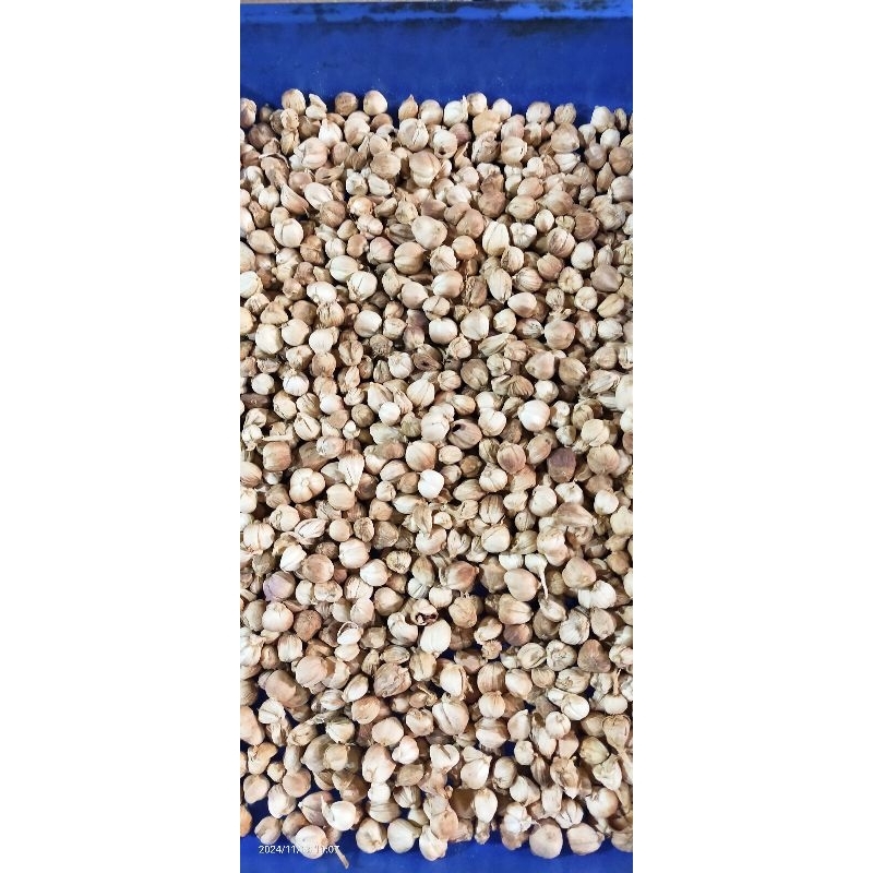 

kapulaga premium 100g