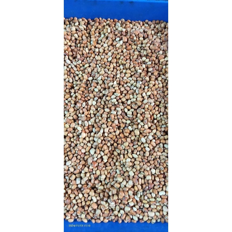 

kacang tunggak/tolo 1kg