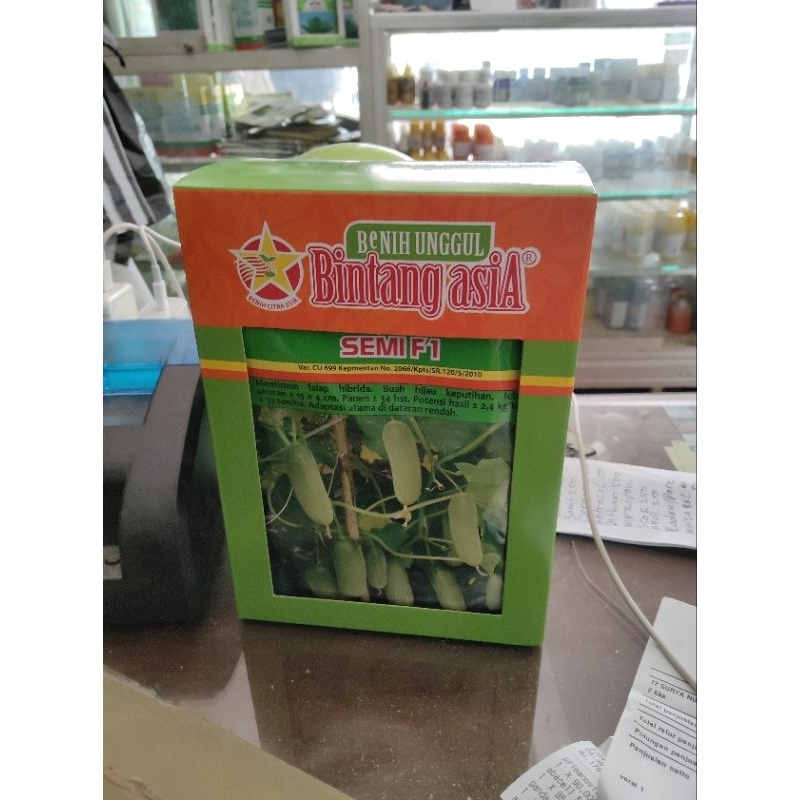 Benih Timun SEMI F1 (20 Gram) - Bibit Timun Lalap Baby Bintang Asia