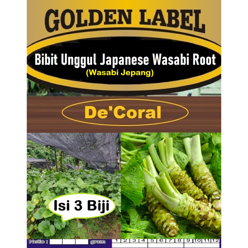 Bibit Unggul Japanese Wasabi Root |Biji Benih Tanaman Wasabi Jepang