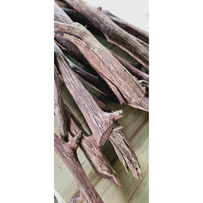 

Teh bajakah merah obat tumor/kanker