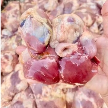 

Hati Ampela Ayam 1kg fresh frozen