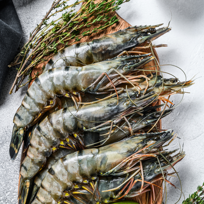 

Udang Galah Segar 900g - 1kg - Lezat, Segar, dan Bergizi!