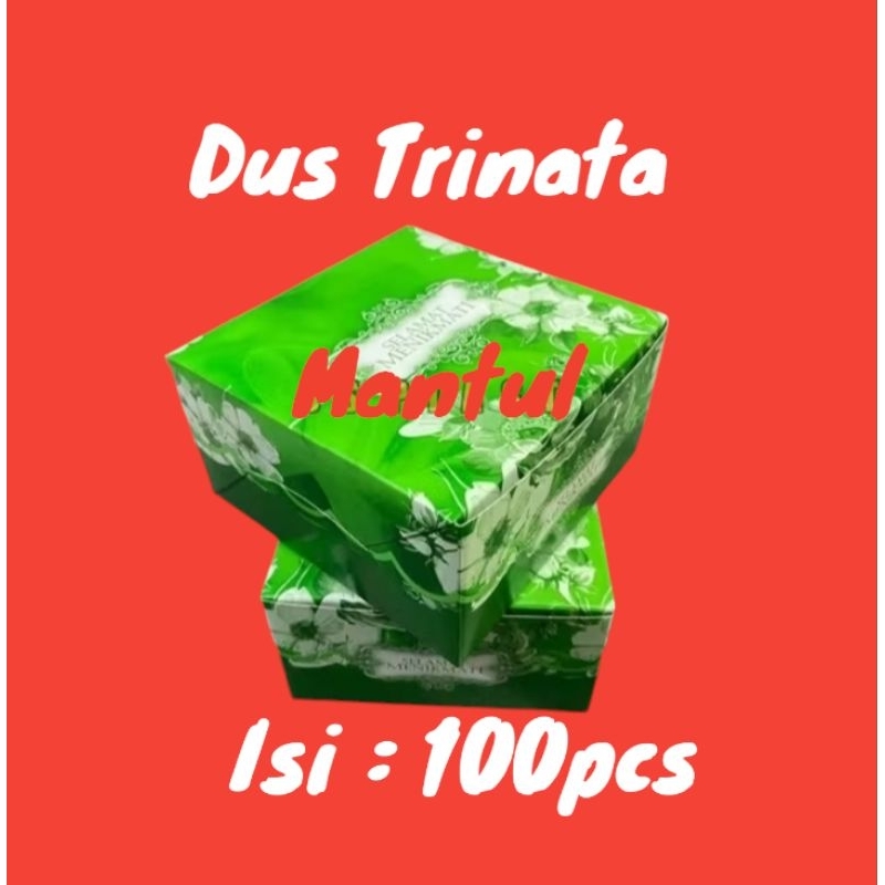 

isi 100pcs Dus Snack Box Trinata 12x12,12x14,12x16