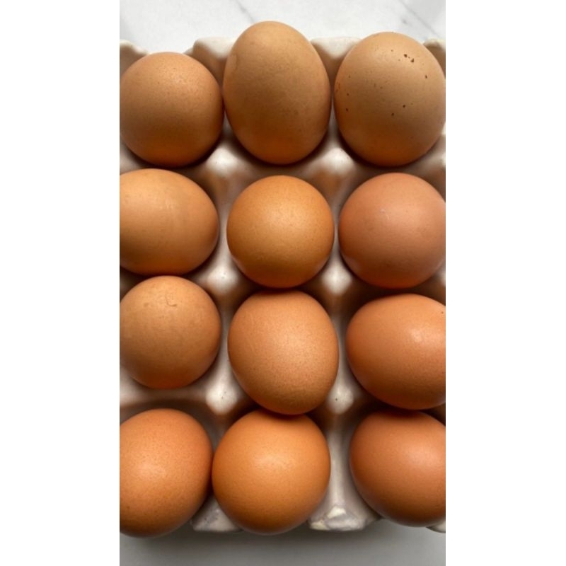 

Telur Ayam Kecil 30 pcs ~ 30 butir