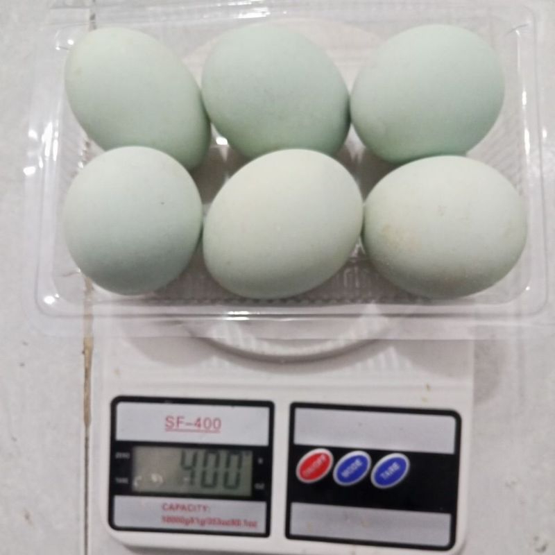 

Promo Telur asin brebes 6butir stok baru 25nov