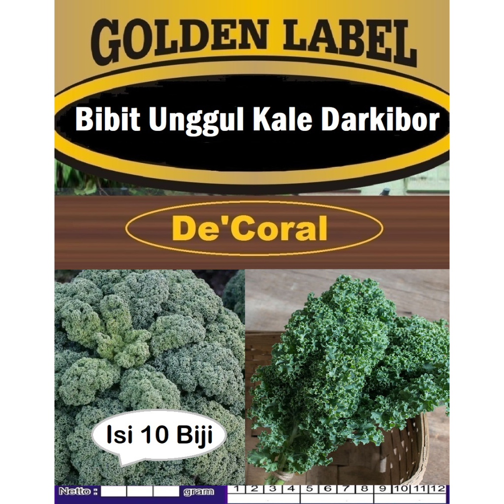 Bibit Unggul Kale Darkibor | Biji Benih Kale Darkibor | Biji Bibit Kale Darkibor