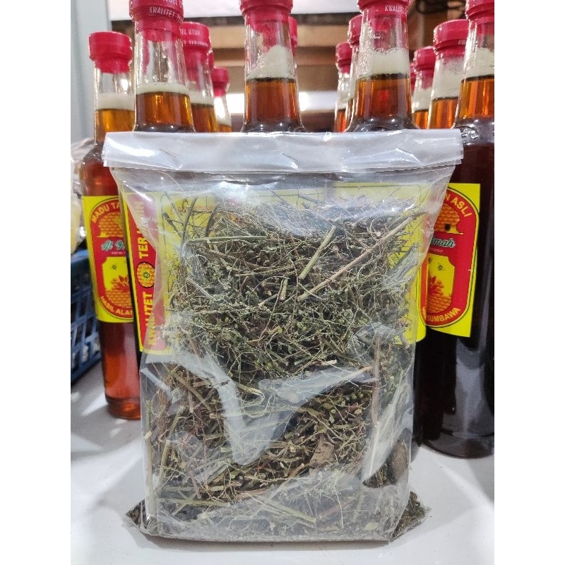 

Meniran Kering