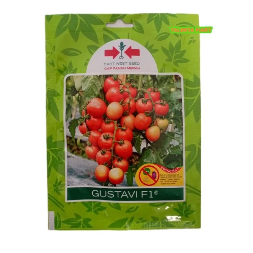 BENIH/BIBIT TOMAT GUSTAVI F1 150 BUTIR