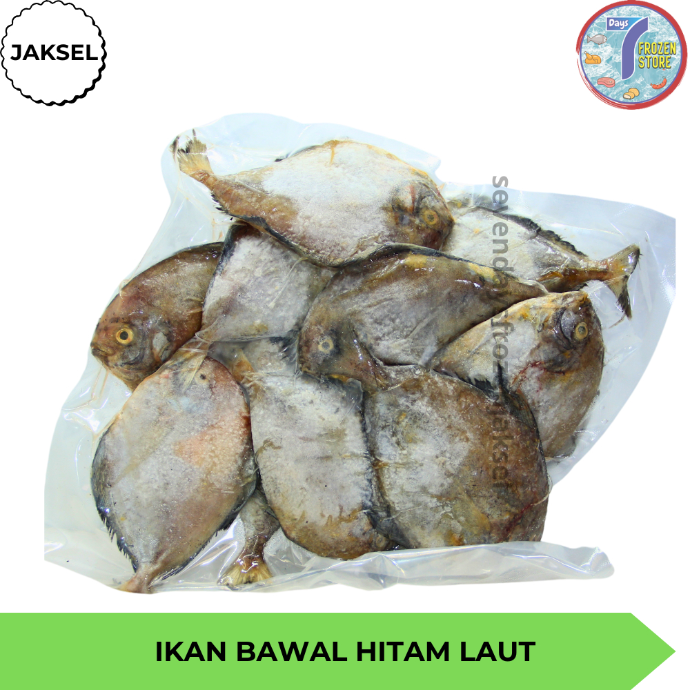 

RB Ikan Bawal Hitam Laut Beku Frozen