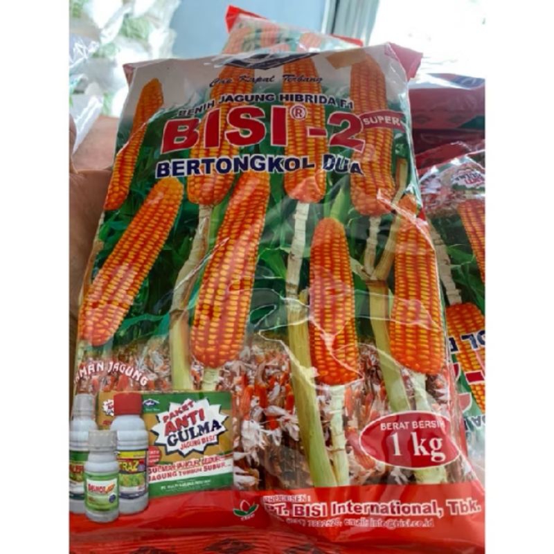 

jagung BISI 2 super berat bersih 1kg