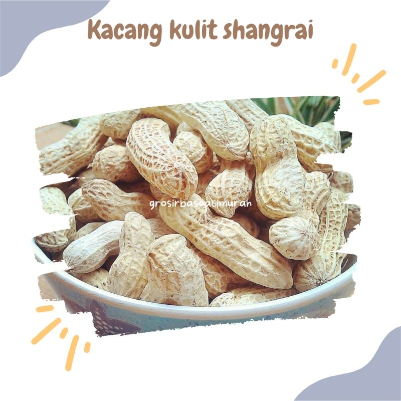 

KACANG KULIT SANGRAI 250GR KACANG GARING ISTIMEWA