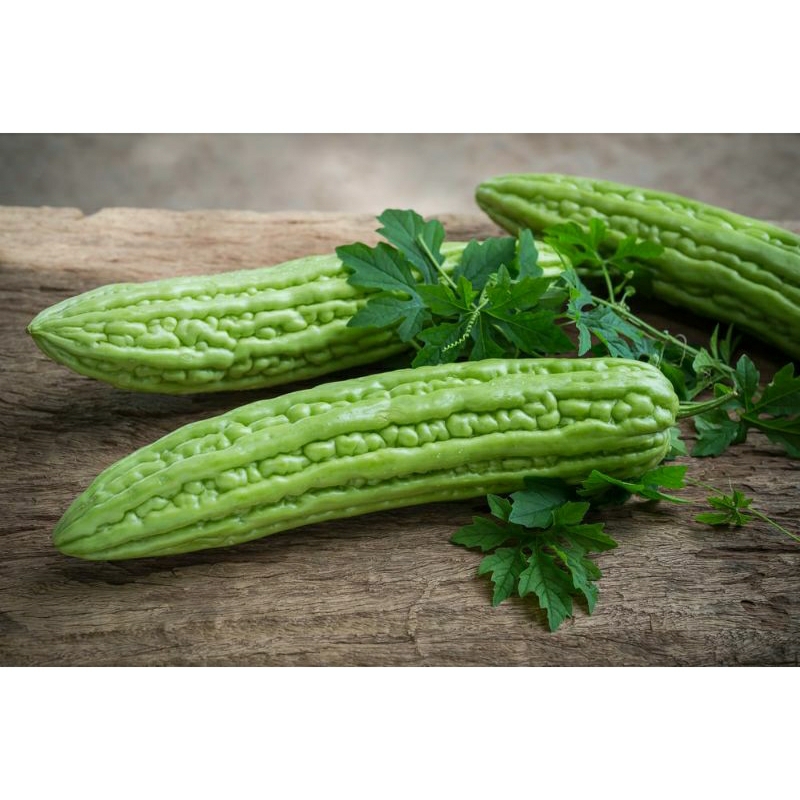 

sayur pare segar