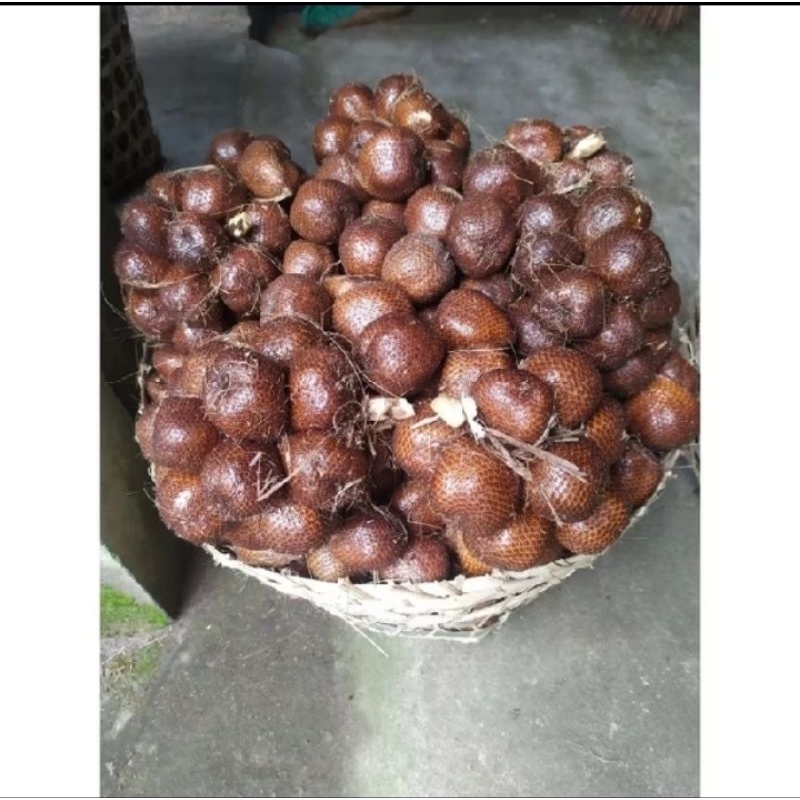 

Buah Salak 1 kg