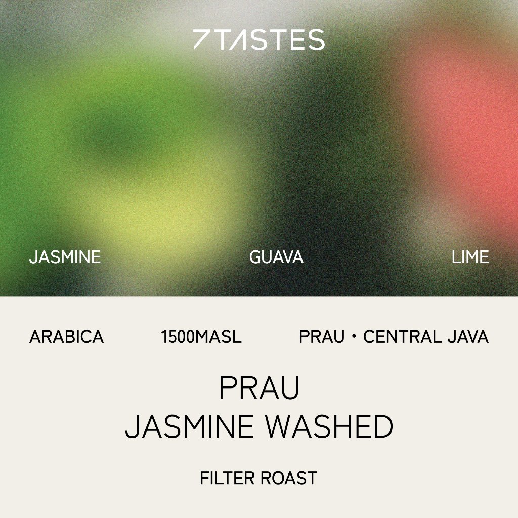 

Prau Jasmine Washed - 7 Tastes - Biji Kopi Arabika Specialty Coffee Beans Arabica Filter Brew Tea Like