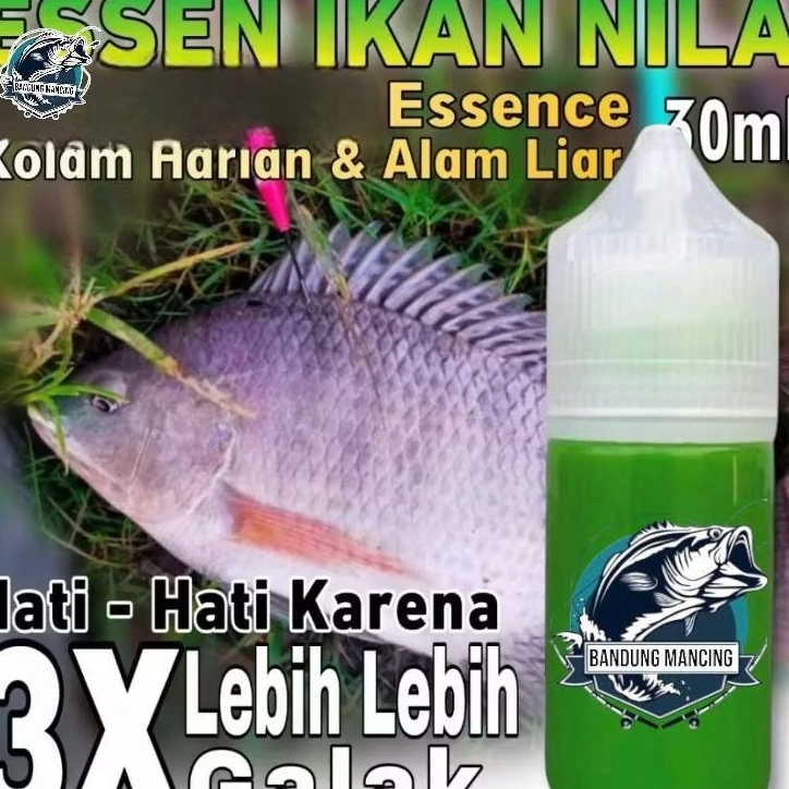 Essen Ikan Nila Liar Media Lumut Paling Gacor, Essen BANDUNG MANCING Khusus Mancing Ikan Nila Harian