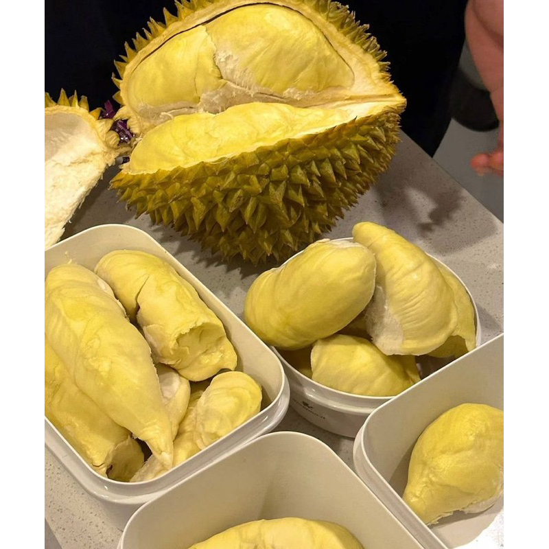 

DURIAN MONTONG 500GRAM BLACK BOX // DURIAN KUPAS MONTONG 500GRAM BLACK BOX