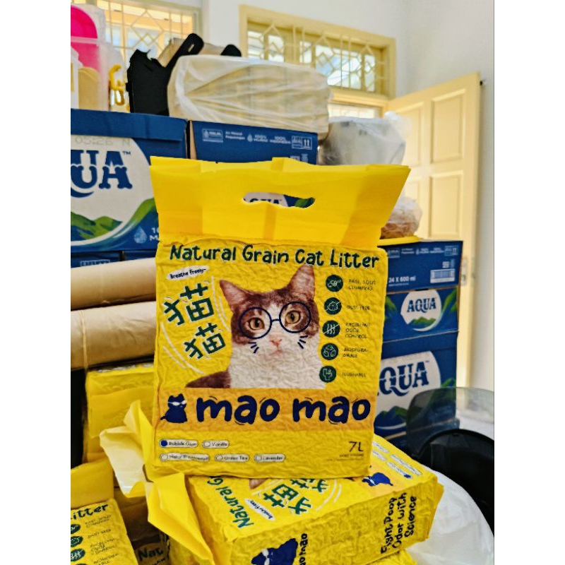 maomao cat