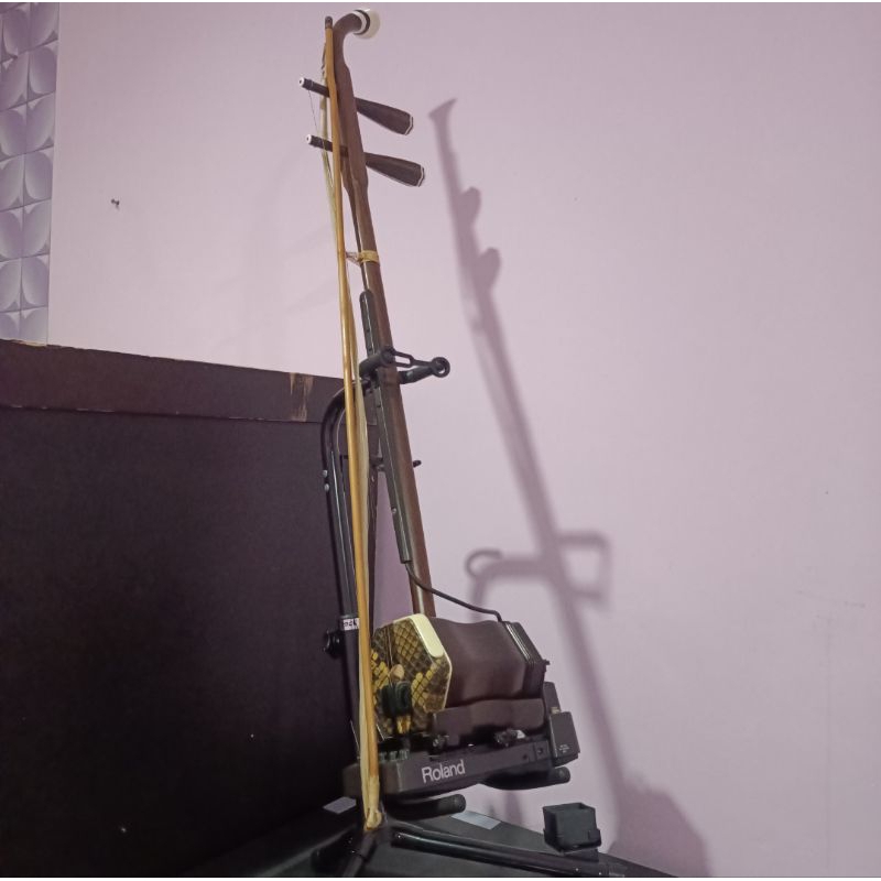 Erhu Dunhuang EH-10A Roland Preamplifier